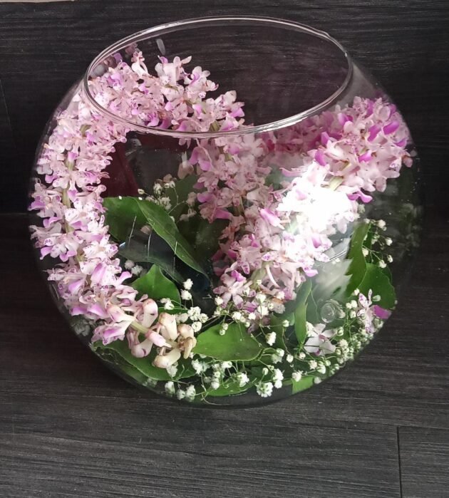 Foxtails Orchids inside Fish Bowl