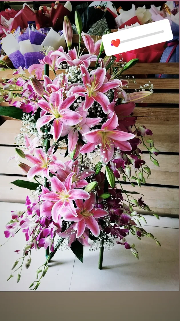 Pink and Purple Hues
