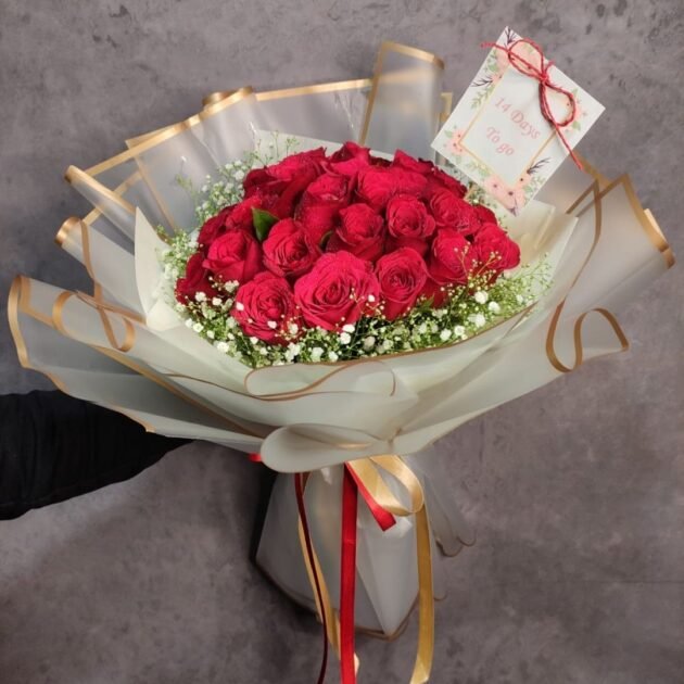 Roses of Dreams