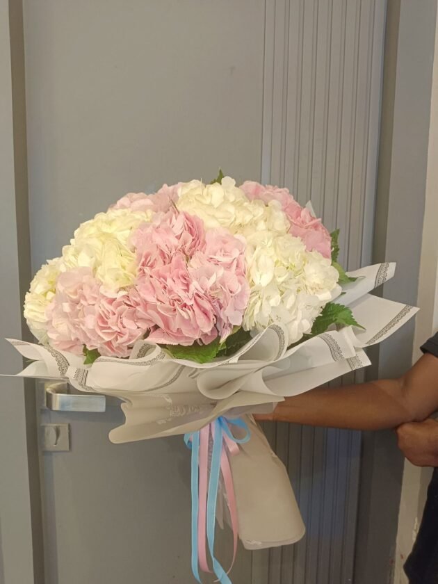hydrangea giant - Image 2