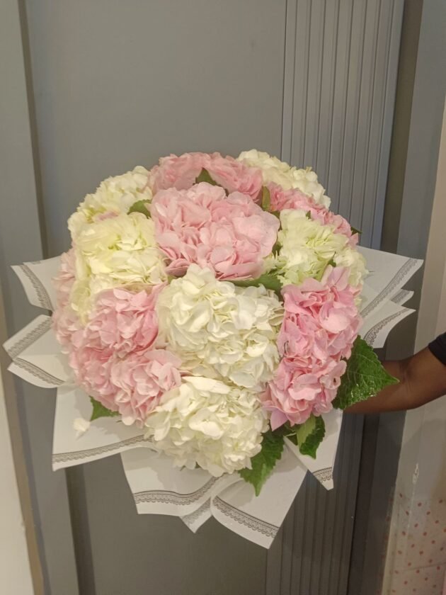 hydrangea giant - Image 3