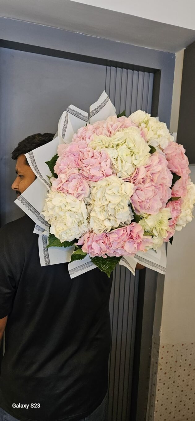 hydrangea giant - Image 4