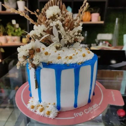 Decorated Dries theme cake