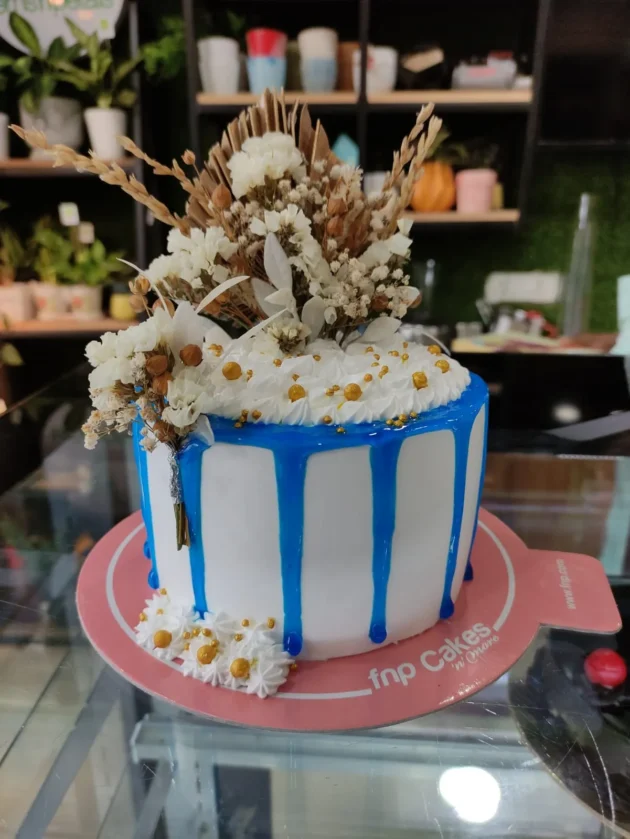 Decorated Dries theme cake