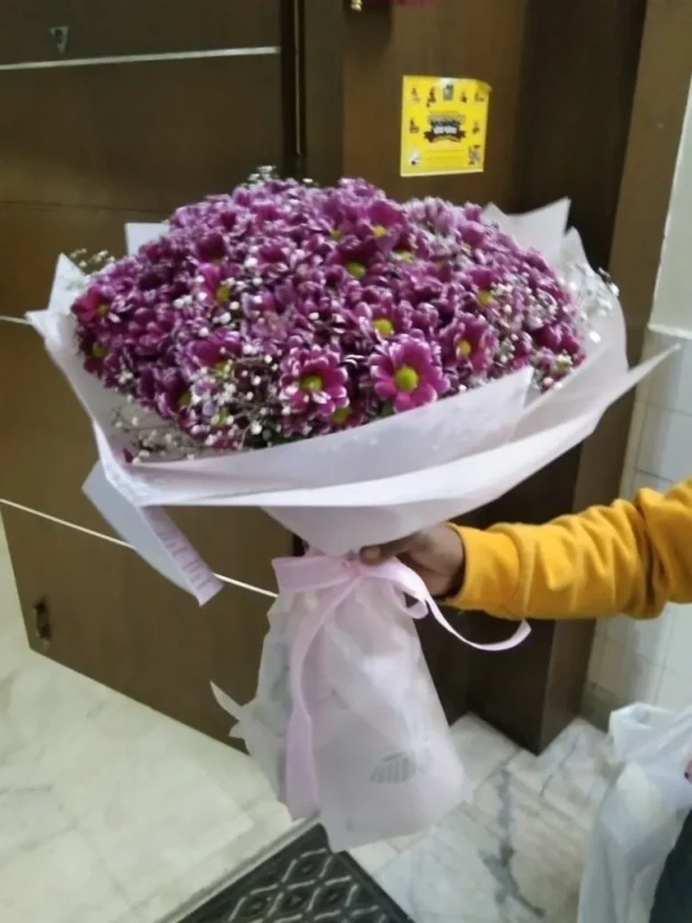 batch_purple sentini handtied