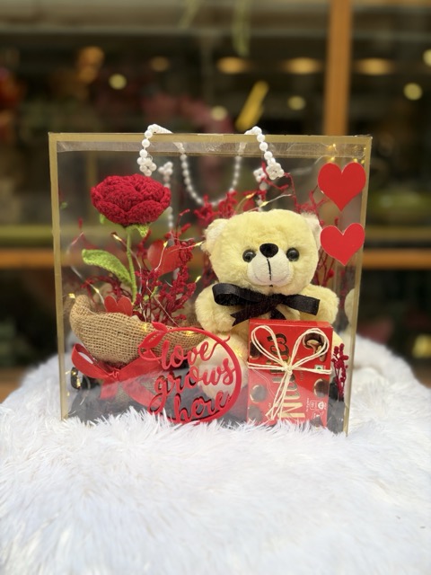 Teddy Love Surprise