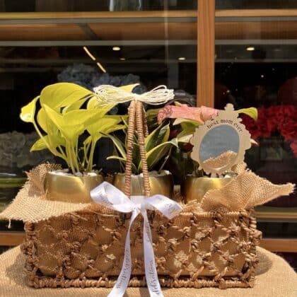 The Sovereign Succulent Crate