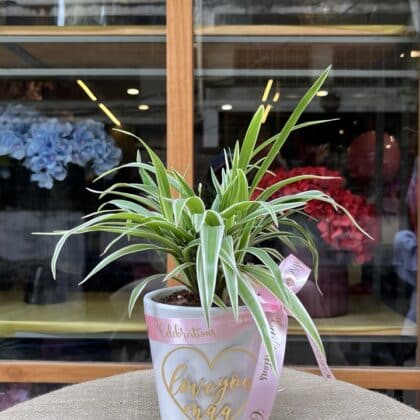 The Heirloom Heart Pot