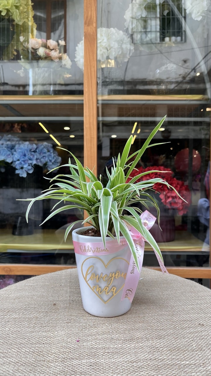The Heirloom Heart Pot