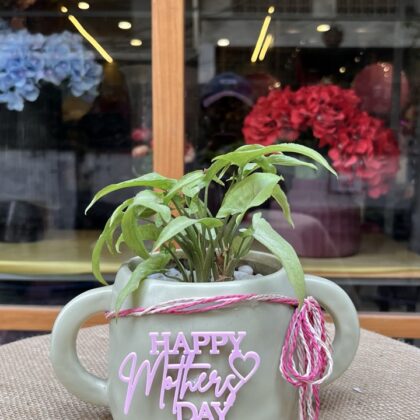 The 'Pure Joy' Motherhood Pot