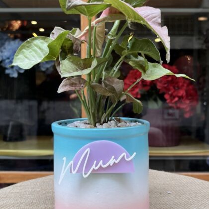 The Pastel Ombre Heritage Pot