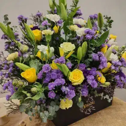 The Radiant Dawn Meadow Box