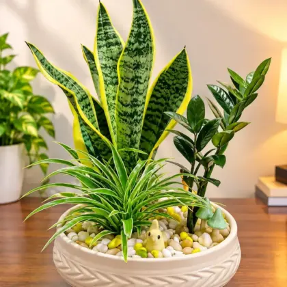 Urban Oasis