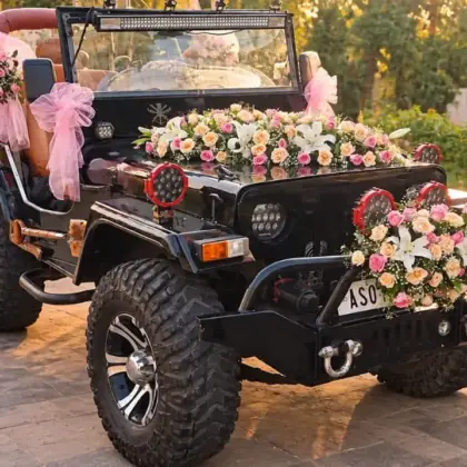 Wild Romance Ride